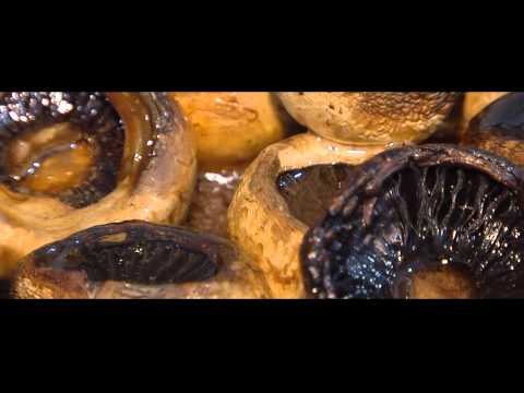 რესტორანი \"ლესელიძის 9\" სოკო კეცზე