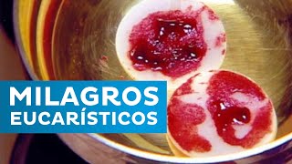 🔴 MILAGROS EUCARÍSTICOS