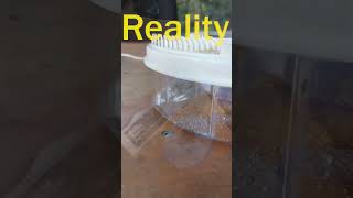 Electric Fly Trap Device