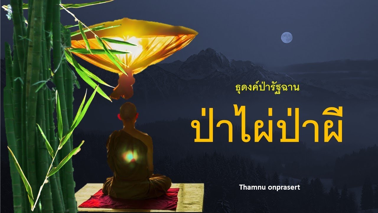 ๒๕๙.ป่าไผ่ป่าผี ธุดงค์ป่ารัฐฉาน