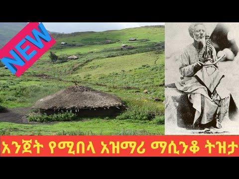 Ethiopia አንጀት የሚበላ አዝማሪ ማሲንቆ Ethiopian New Best Traditional Masinko Azmari Music