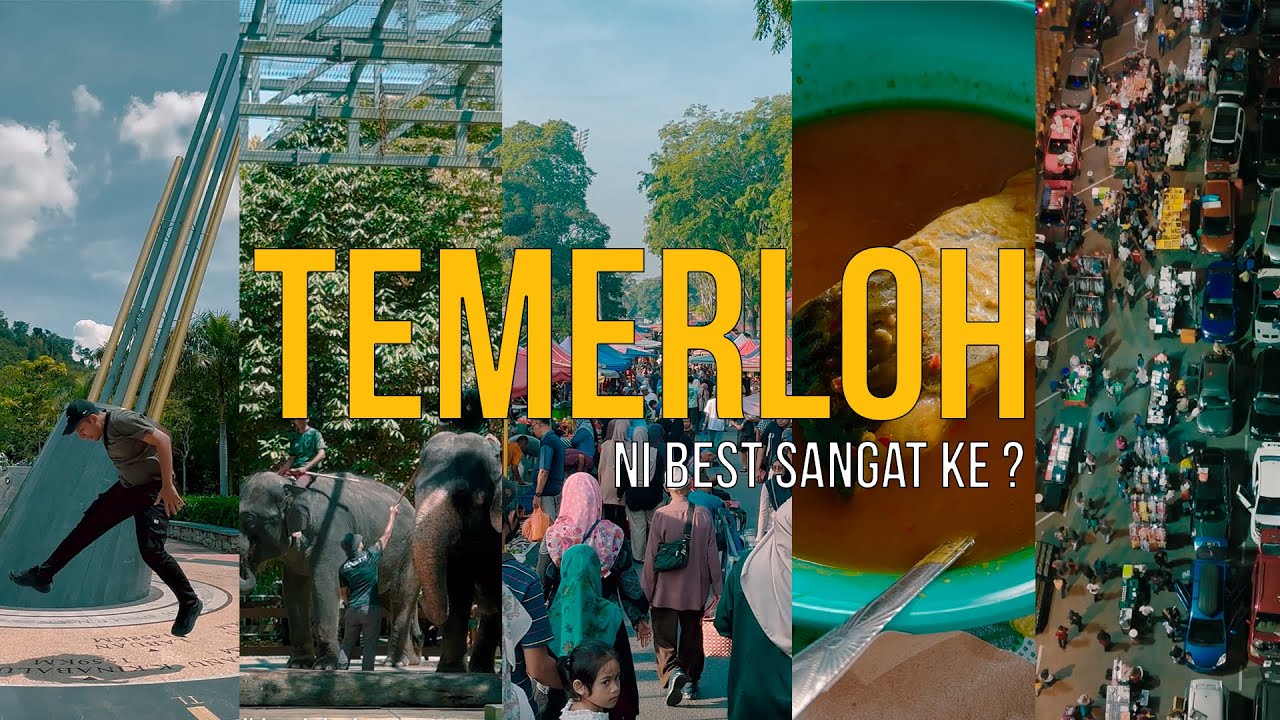 Pekan Sehari Temerloh cipta Malaysia Book of Records!