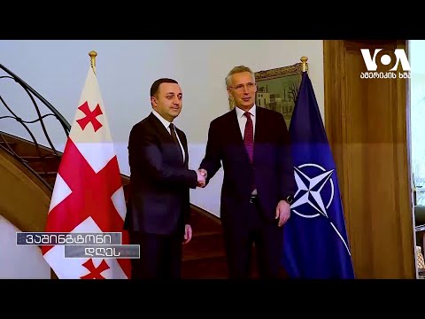 \"ნატოს სამიტზე საქართველოს წინსვლა არ ექნება\" - ჰერბსტი