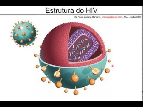 Vídeo: Trimers De Glicoproteínas Do Envelope HIV-1 Estabilizadores Para Induzir Anticorpos Neutralizantes