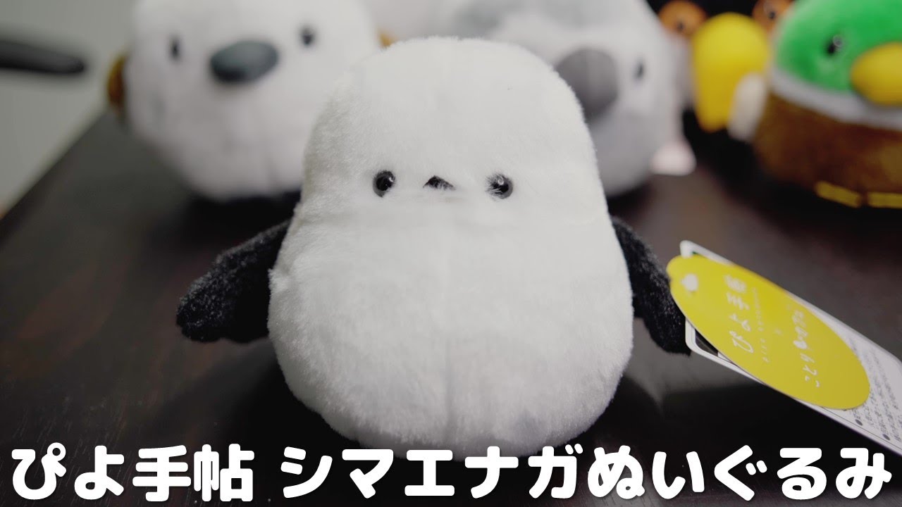 ぴよ手帖 ことりカフェコラボ シマエナガぬいぐるみ コレクション日記 Youtube