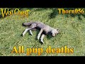 All pup deaths  wolfquest anniversary edition