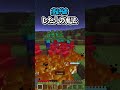 ★ 〇〇した人の魔法【マインクラフト】#マイクラ #shorts