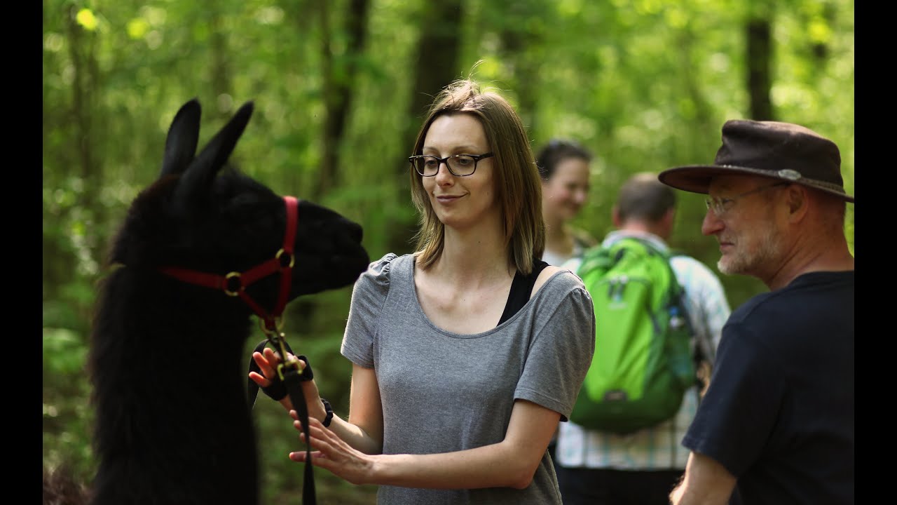 tierische Helfer - Einführung in die Tiergestützte Arbeit