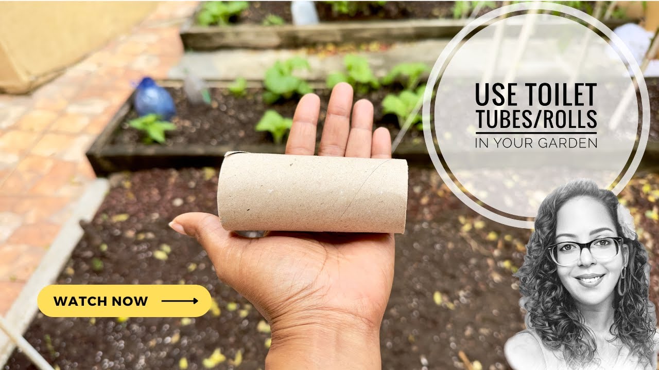 How You Can Use Toilet Paper Tubes In Your Garden 
