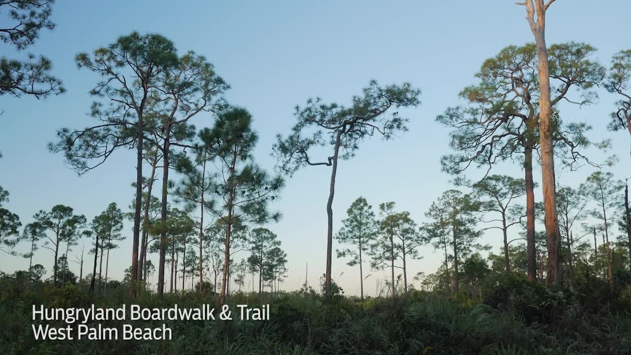 Hungryland Boardwalk and Trail YouTube