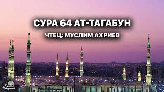 Муслим Ахриев 64 сура Ат-Тагабун