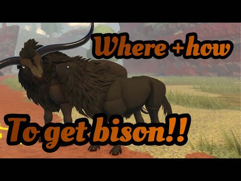 NEW UPDATE IS HERE! How to get BISON +new Camera mode