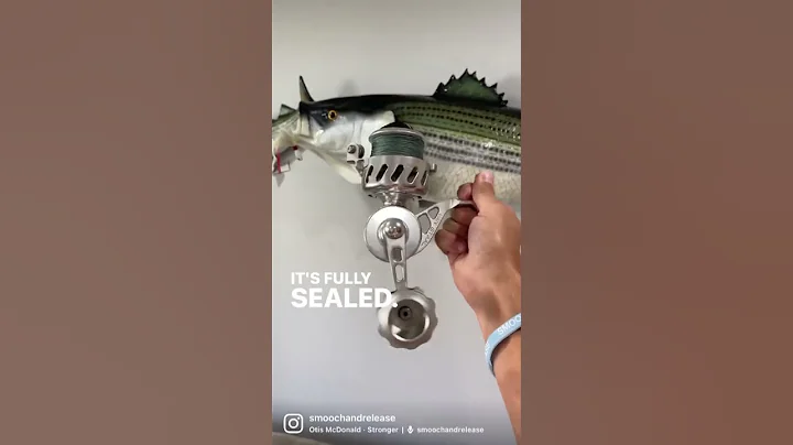 This fishing reel cost $900+ and it’s totally worth it!