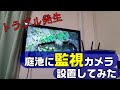 【DIY】庭池でトラブルが発生したので監視カメラを設置してみました&ドブ貝死ぬ。