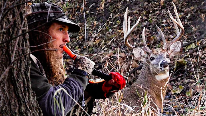 Top 3 DEER CALLING MISTAKES!