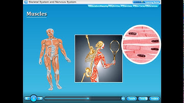 #STD 5 #SCIENCE #CHAPTER 8 #NERVOUS SYSTEM AND SKELETON SYSTEM #PART 1