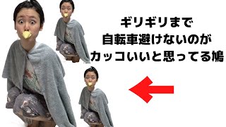 【平和の象徴】ハトあるある