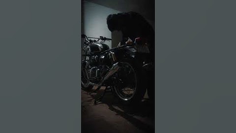 flash x hazard interceptor 650 💡🚨⚡#interceptor650