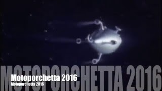 Motoporchetta 2016 ST.12 EP.3 