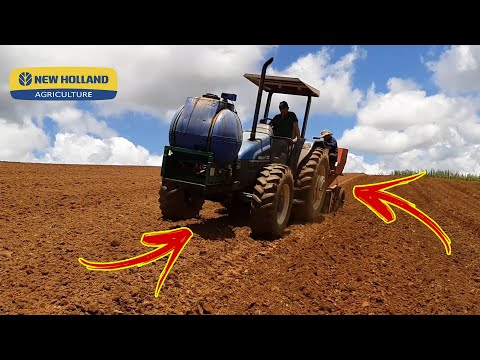 Vídeo: Plantando E Cuidando Da Batata Com Trator Autônomo: Como Plantar Batata? Tecnologia De Processamento E Colheita, Escolhendo Um Escavador De Batata Para Cavar