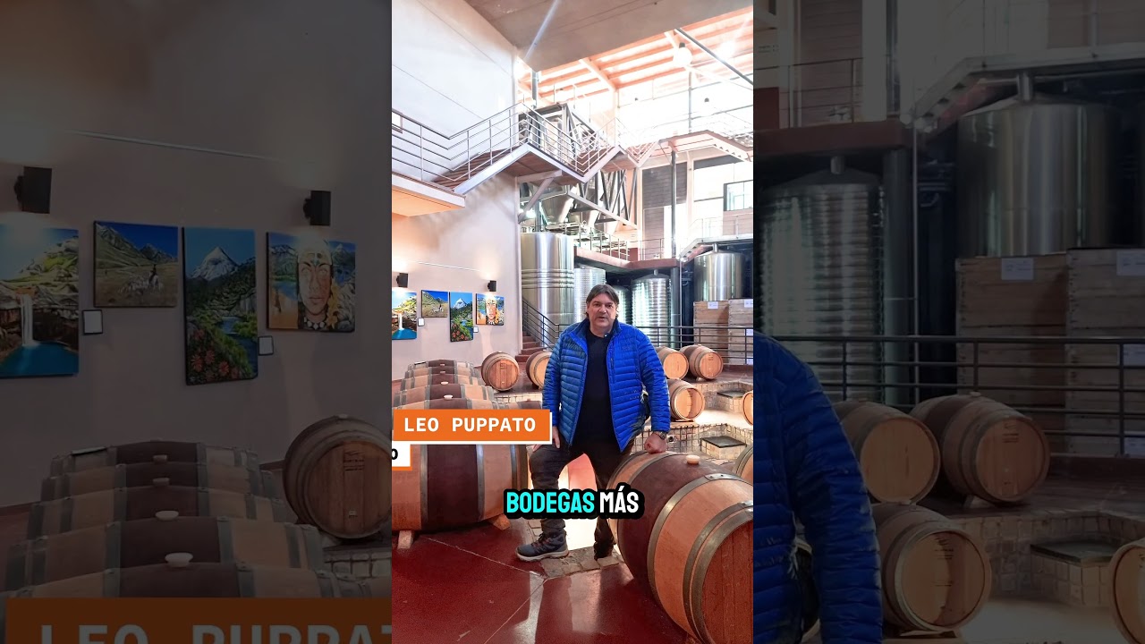 Schroeder: la bodega donde el vino y la historia conviven 🦕🍷