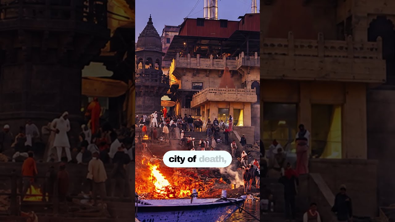 Is Cannibalism Normal In India?
