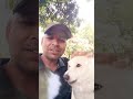 #tumsakoipyarako #shortvideo #cutedog #viralshorts #ytshorts #trending #dogreels #viralvideo