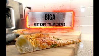 The Best Kept Italian Secret called Biga Pizza Dough