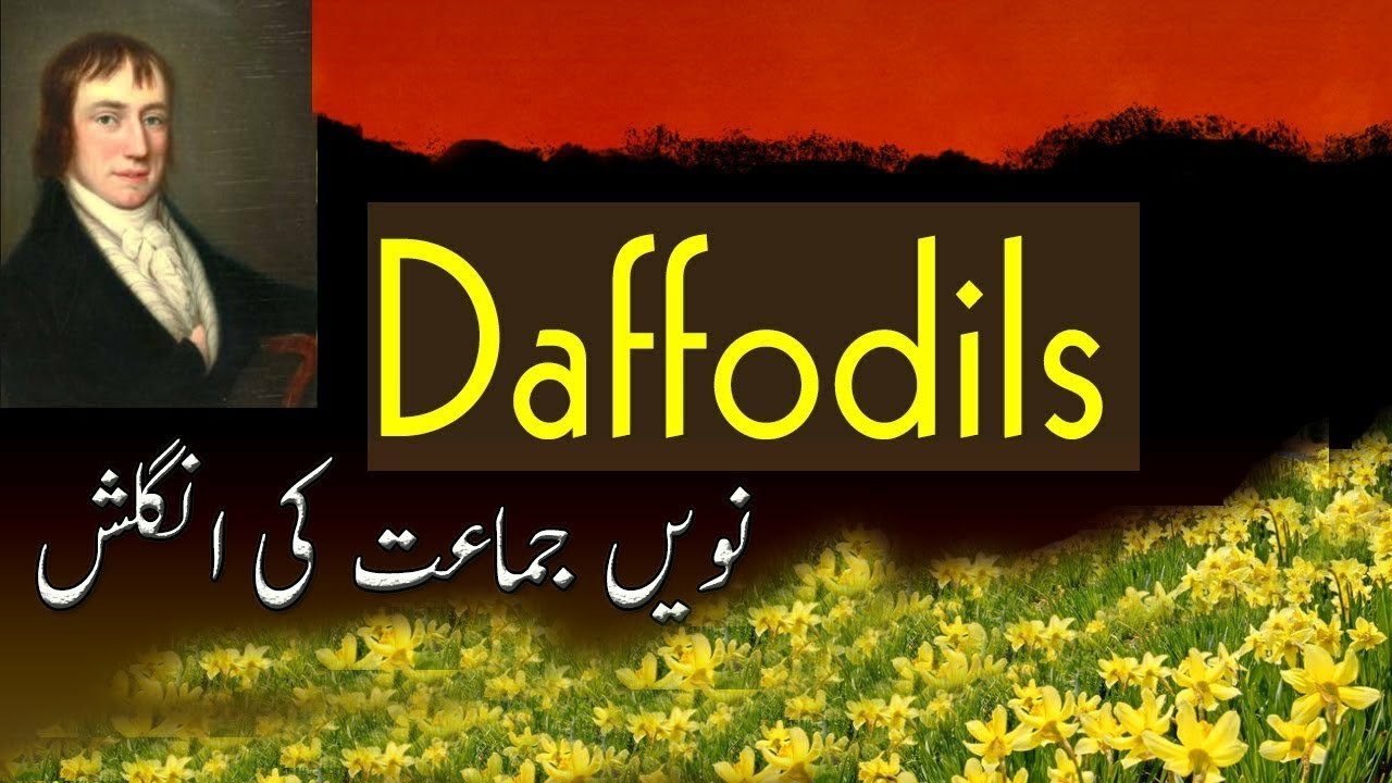 Summary of the Poem Daffodils 9th Class by Malik Sajjad Razvi YouTube