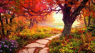 Autumn Landscapes & Soft Piano 🍂 Peaceful Birdsong for Stress Relief and Calm Relaxation screenshot 5