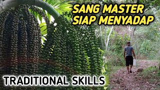 Tradisional Menyadap Air Nira Nira Aren Dari Pohon Ijuk Atau Enau Di Pedalaman Hutan Part 3