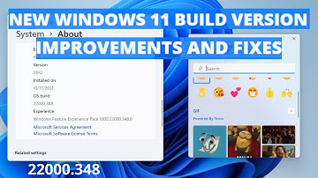 New Windows 11 Update 22000.348 - Improved Performance and many Fixes
