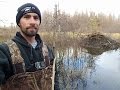 Fall Beaver Trapping 2016 Part 1 With Underwater GoPro Footage