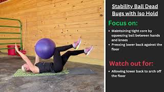 FP Stability Ball Dead Bugs with Iso Hold