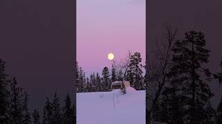 LEVE DE SOLEIL #sweden #lapland #aurora #vlog #travel #fyp