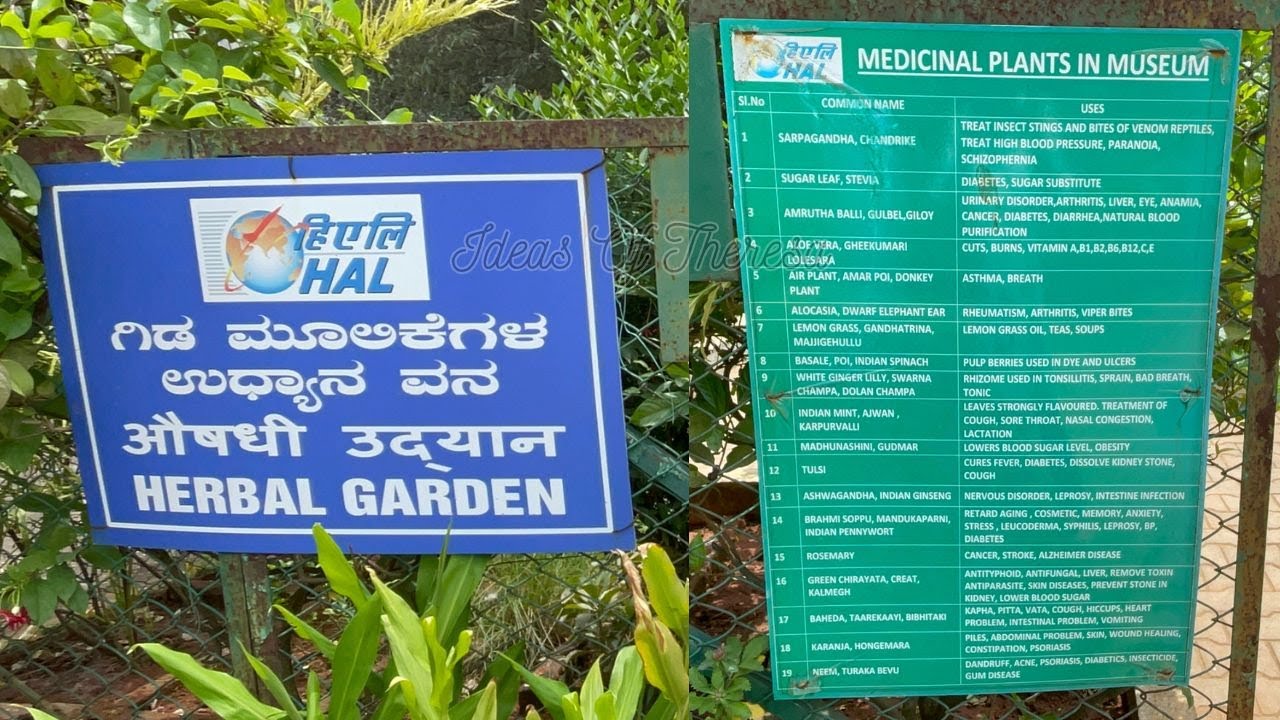 Herbal Garden / ഔഷധച്ചെടികൾ / औषधी उद् यान /Medicinal Plants / HAL Museum Bangalore