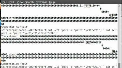 Simple Stack-Based Buffer Overflow Exploitation Tutorial - Ubuntu 10.10