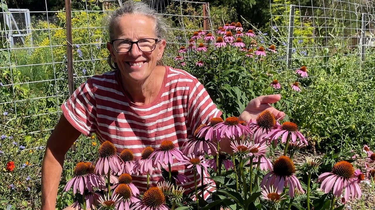 Welcome to Early Summer in the Vegetable Garden