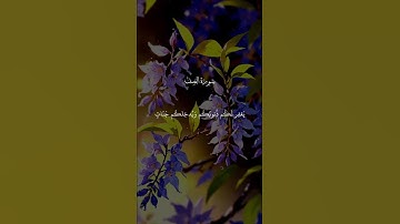 قران كريم #اكسبلور #المصحف #إسلاميات #لايك #الرحمن #السنة #fyp #fypシ #fypシ゚viral #fy