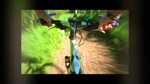 Second Week of Advent 2013