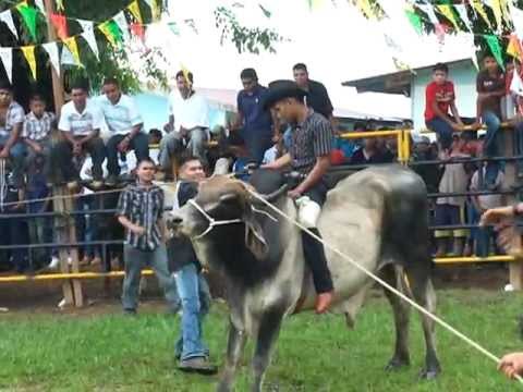 Resultado de imagen para san juan cabeza del rio jaripeo
