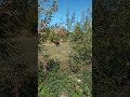 В подкрепа на животновъдството - успех!