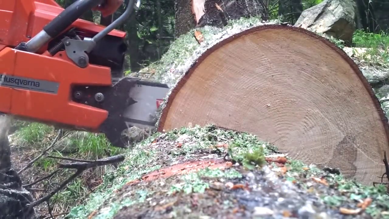 Motosierra 28 6.03HP Husqvarna (288XP) - YouTube
