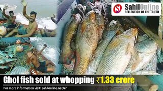 Palghar fisherman who caught 157 Ghol fish sold at whopping ₹1.33 crore to consortium of traders screenshot 3