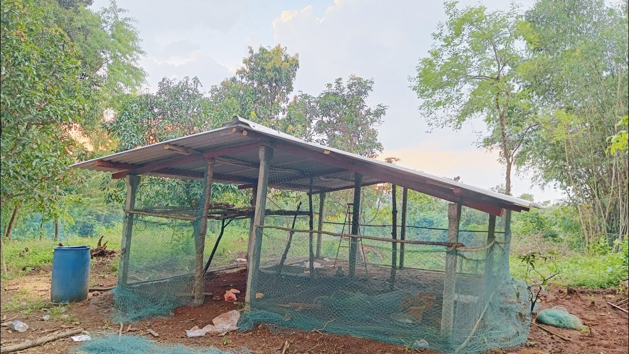 Poultry Farm Working Video