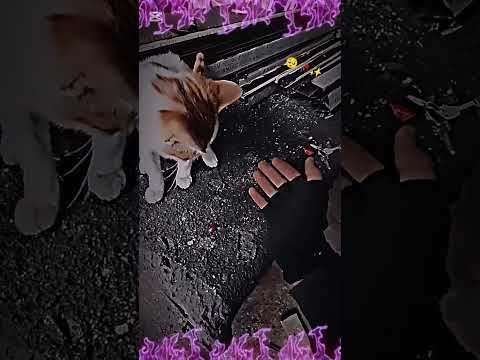 اكسبلور جديدي لايك ذواقه تصميم فيديوهات اقنباسات تصميمي ايقنت