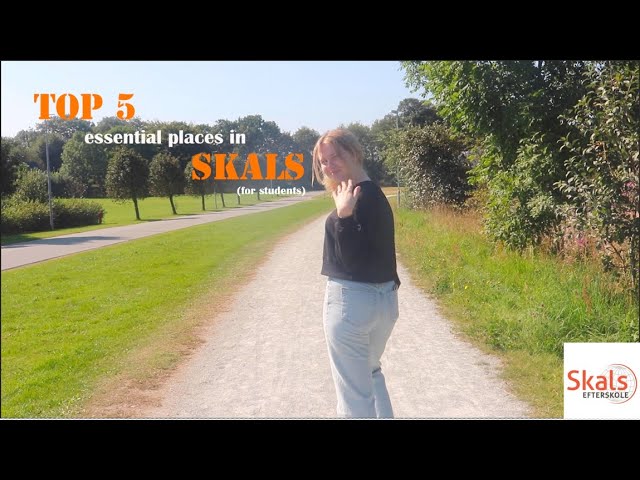 chikane have tillid transfusion Top 5 essential places in skals - YouTube