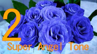 2 本物の奇跡が起きるミラクルサウンド スーパー エンジェルトーン 幸せをあなたに ソルフェジオ 周波数 全部入り＋エンジェルナンバートーン A=432Hz