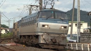 JR貨物 EF66 126号機 貨物列車1055レ 前空→大野浦 2012.8