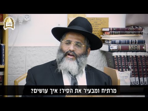 המלך בשדה!! לא תנצל את זה? 👑🌳 רגע של אור לחודש אלול עם הרב ישראל אברג'ל